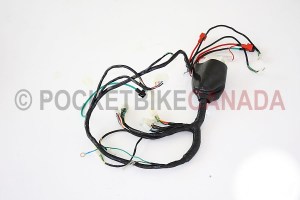 wire harness 808